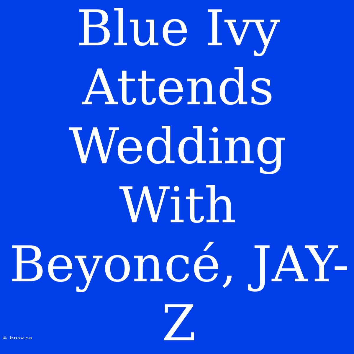 Blue Ivy Attends Wedding With Beyoncé, JAY-Z