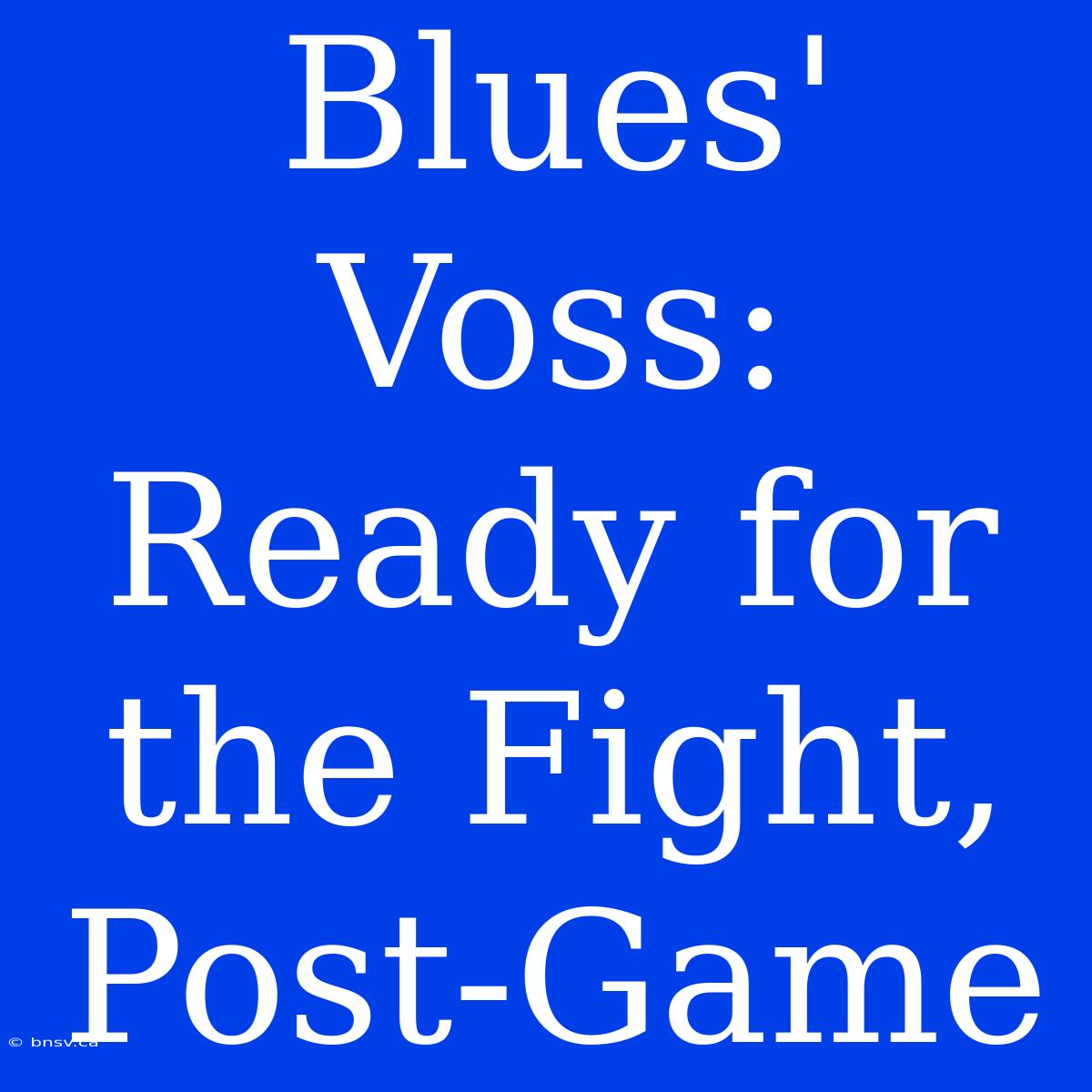 Blues' Voss: Ready For The Fight, Post-Game