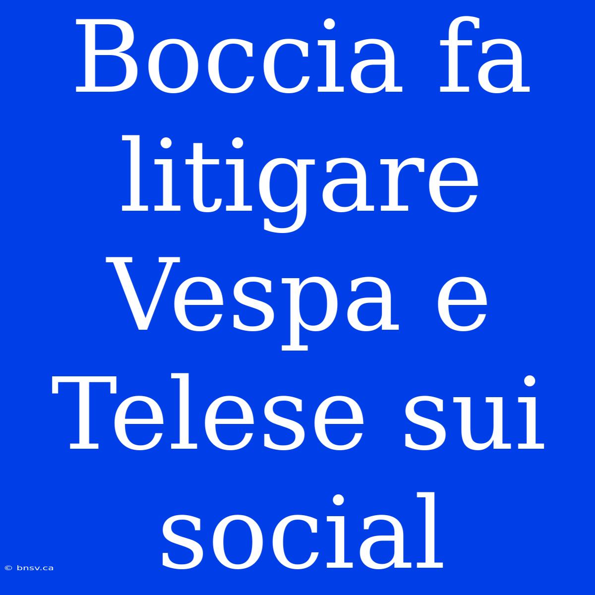 Boccia Fa Litigare Vespa E Telese Sui Social