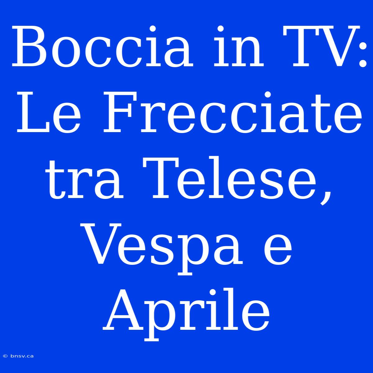 Boccia In TV: Le Frecciate Tra Telese, Vespa E Aprile