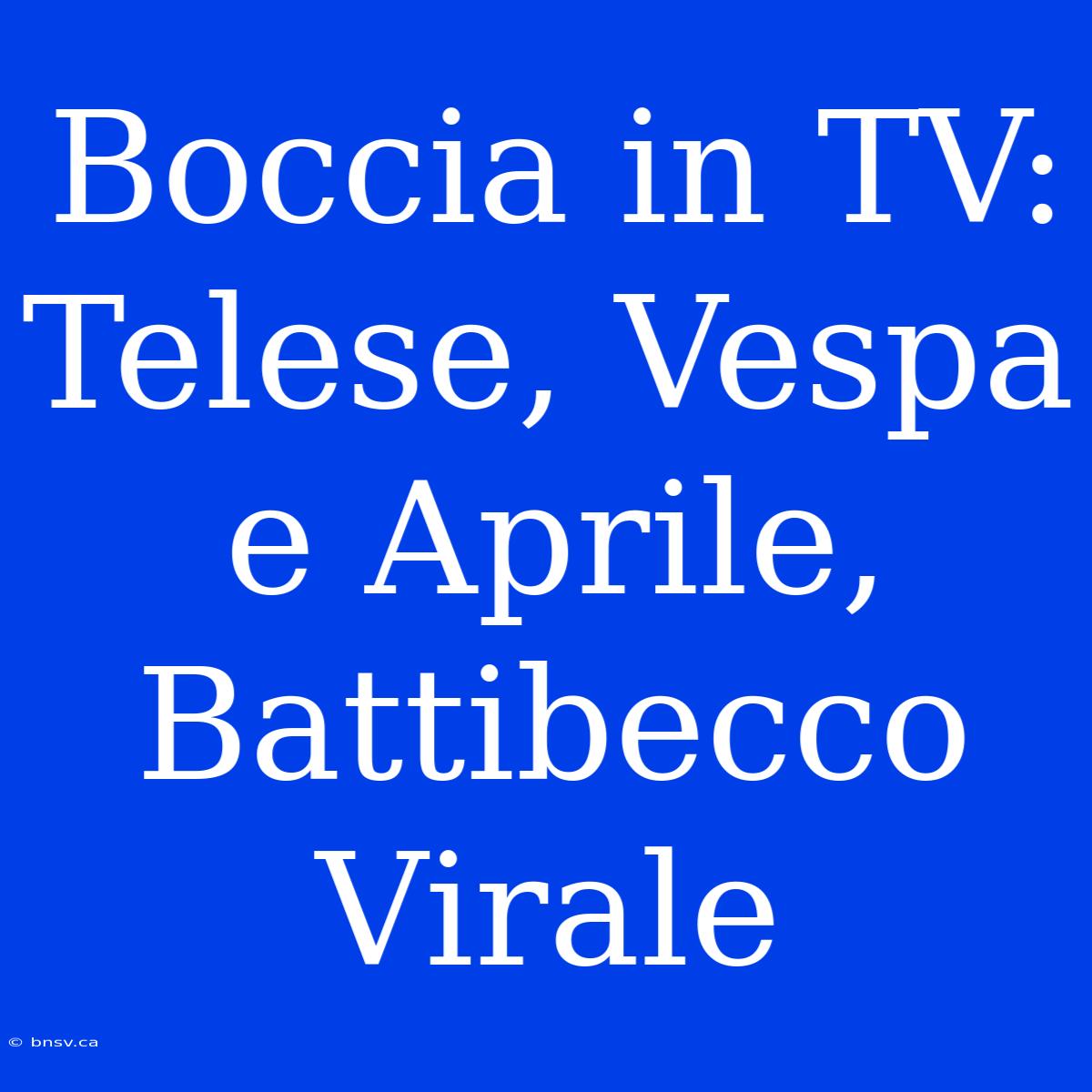 Boccia In TV: Telese, Vespa E Aprile, Battibecco Virale