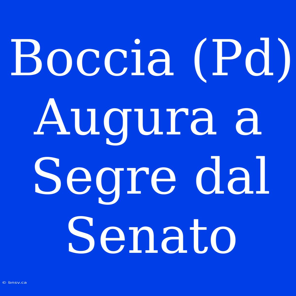 Boccia (Pd) Augura A Segre Dal Senato