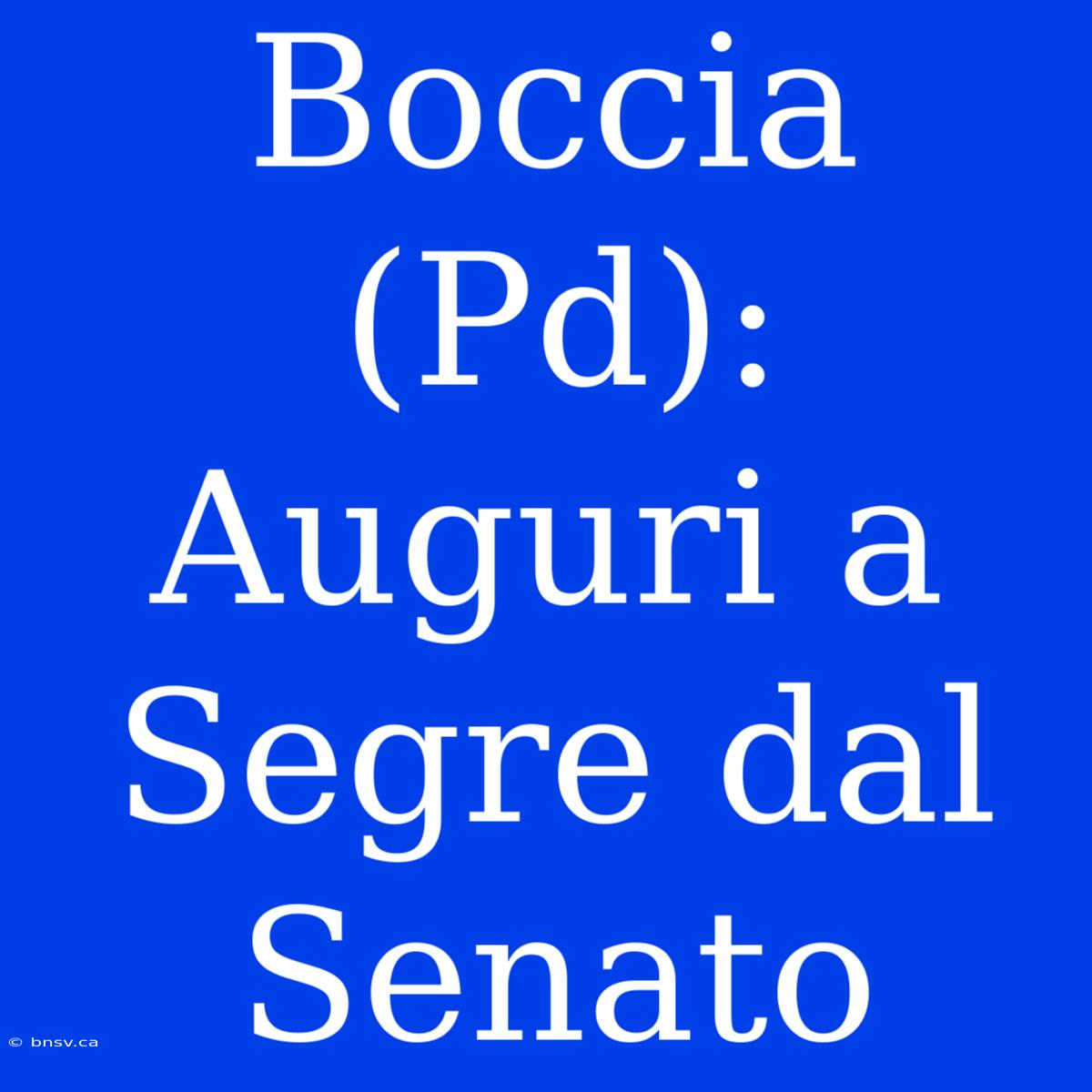 Boccia (Pd): Auguri A Segre Dal Senato