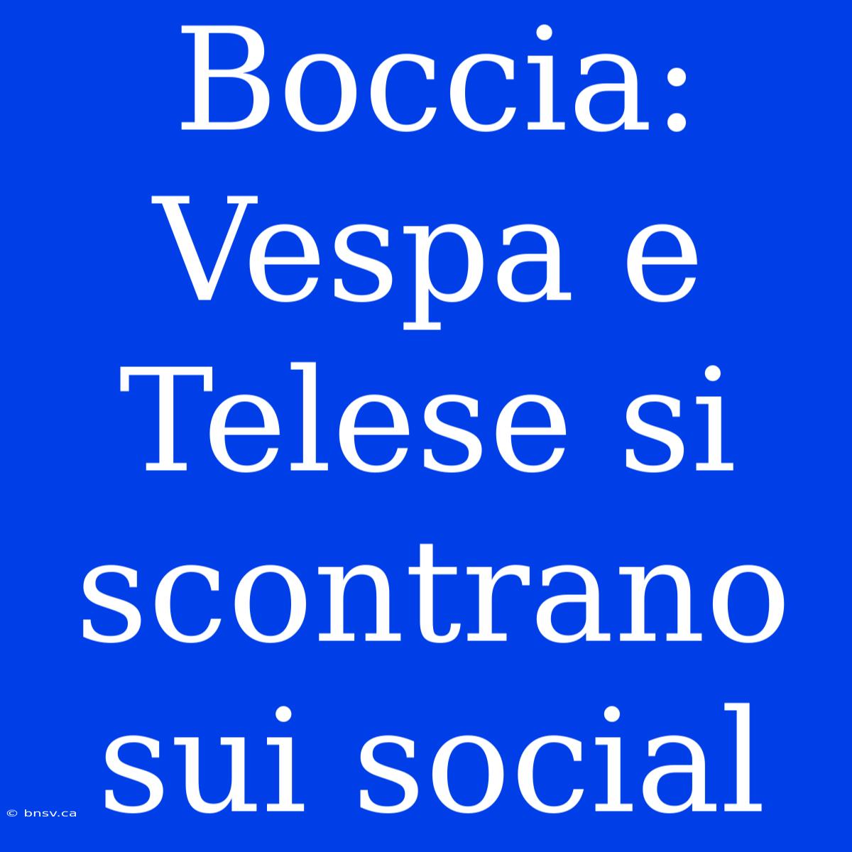 Boccia: Vespa E Telese Si Scontrano Sui Social