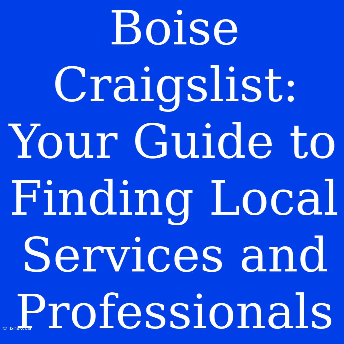 Boise Craigslist: Your Guide To Finding Local Services And Professionals