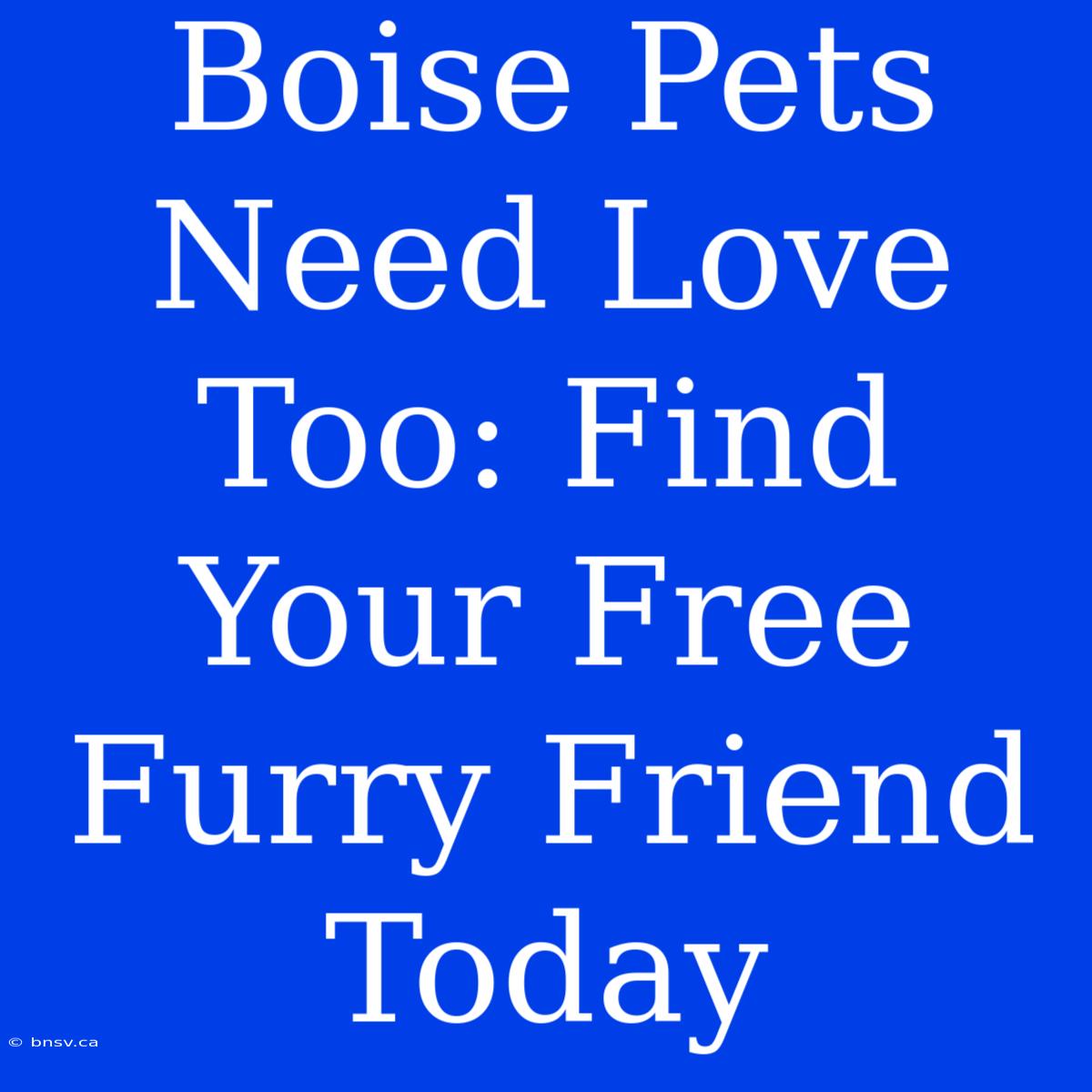 Boise Pets Need Love Too: Find Your Free Furry Friend Today