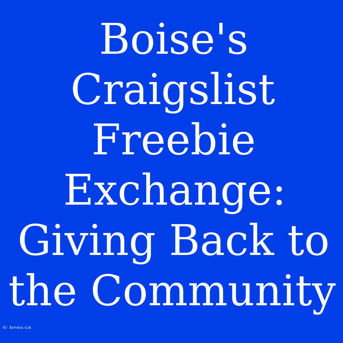 Boise's Craigslist Freebie Exchange: Giving Back To The Community