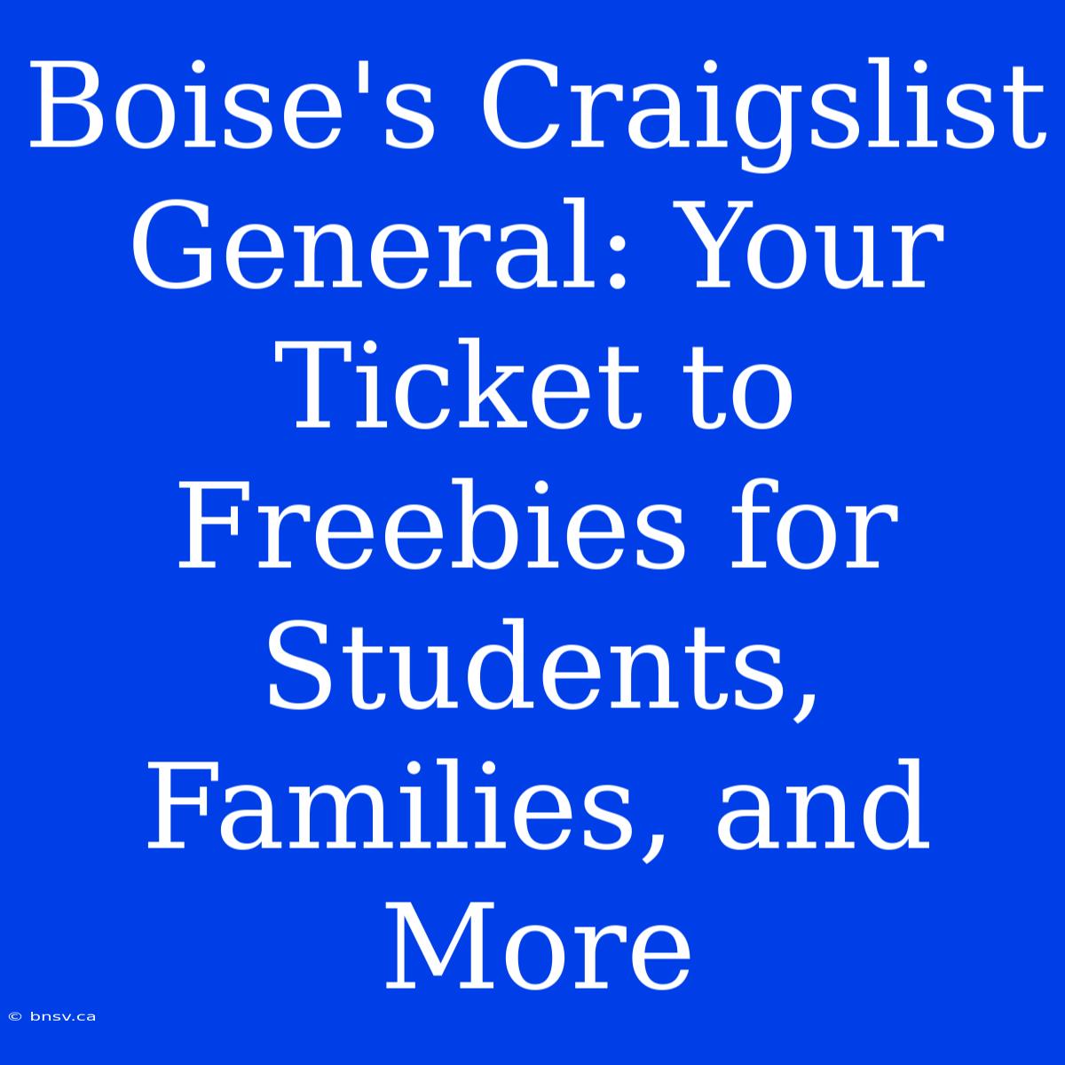 Boise's Craigslist General: Your Ticket To Freebies For Students, Families, And More