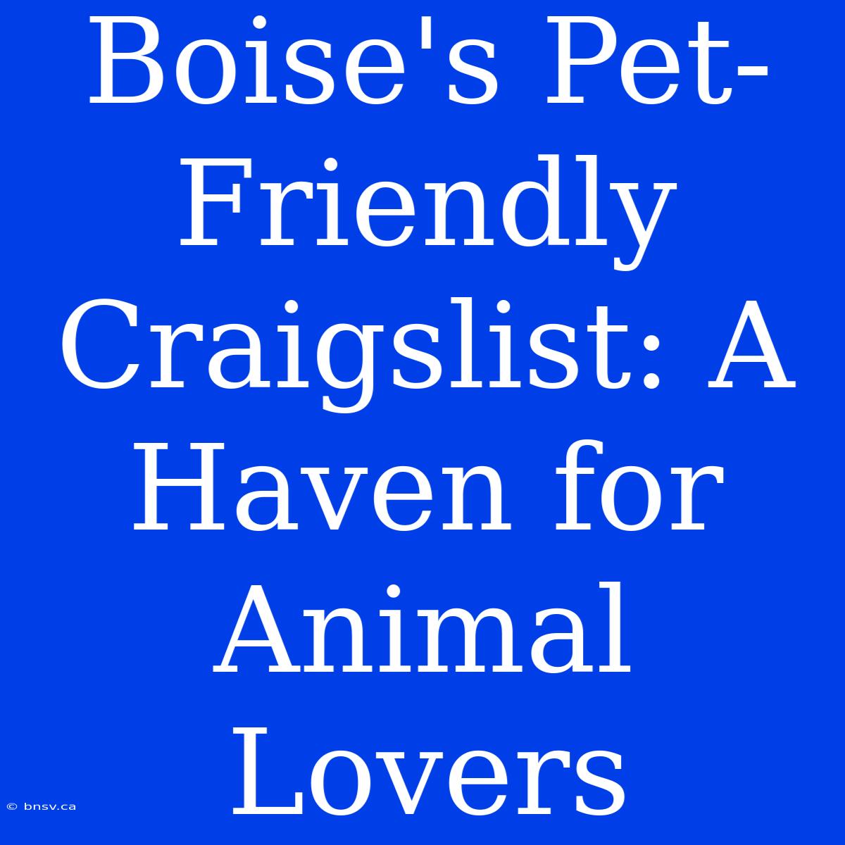 Boise's Pet-Friendly Craigslist: A Haven For Animal Lovers