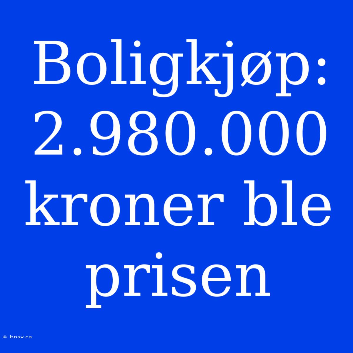 Boligkjøp: 2.980.000 Kroner Ble Prisen