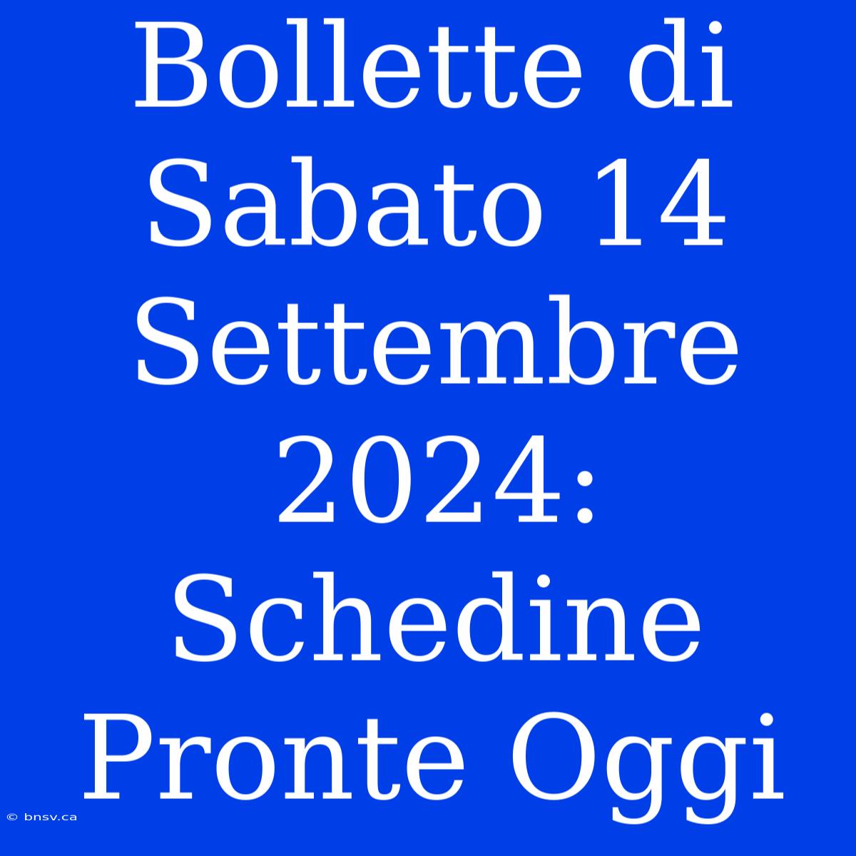 Bollette Di Sabato 14 Settembre 2024: Schedine Pronte Oggi