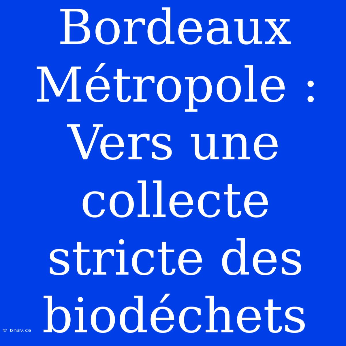 Bordeaux Métropole : Vers Une Collecte Stricte Des Biodéchets