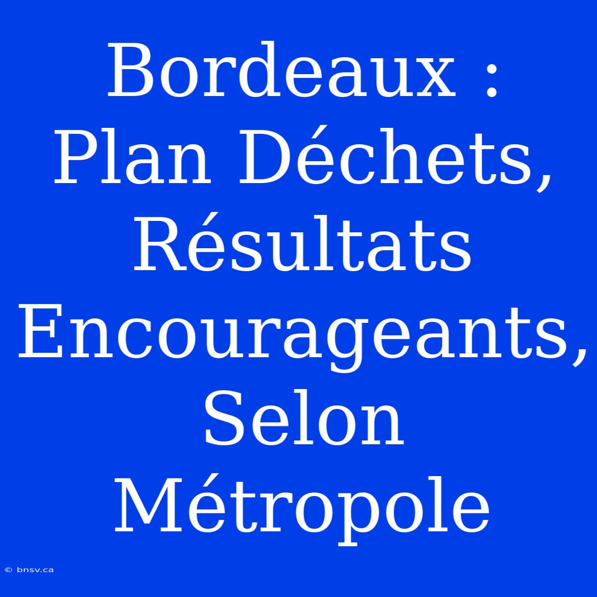 Bordeaux : Plan Déchets, Résultats Encourageants, Selon Métropole