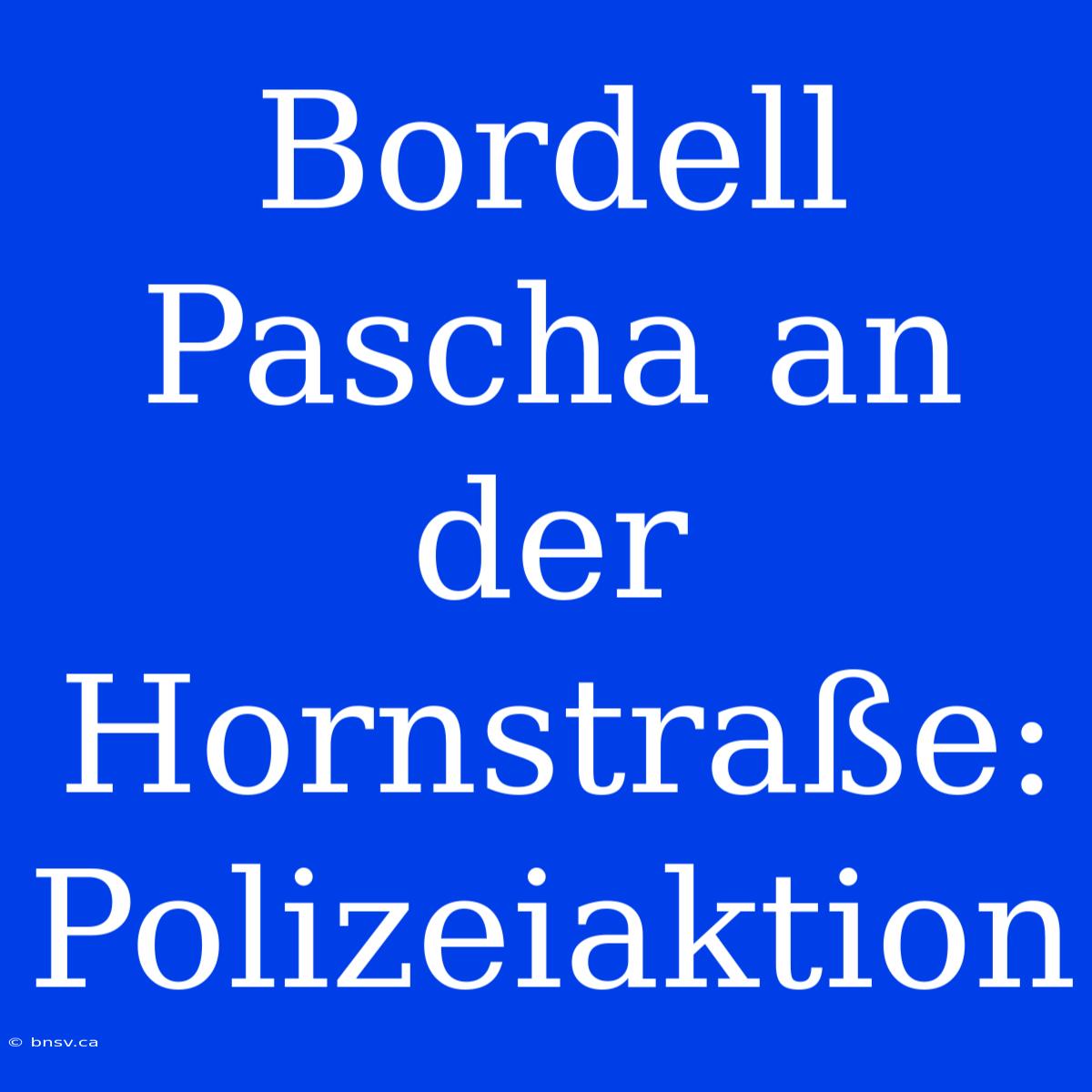 Bordell Pascha An Der Hornstraße: Polizeiaktion