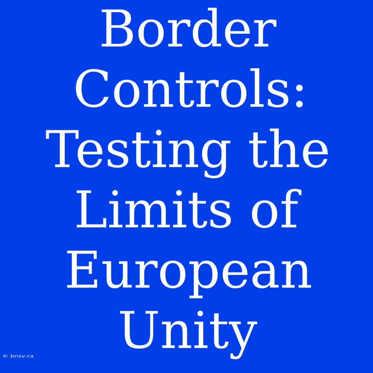 Border Controls: Testing The Limits Of European Unity