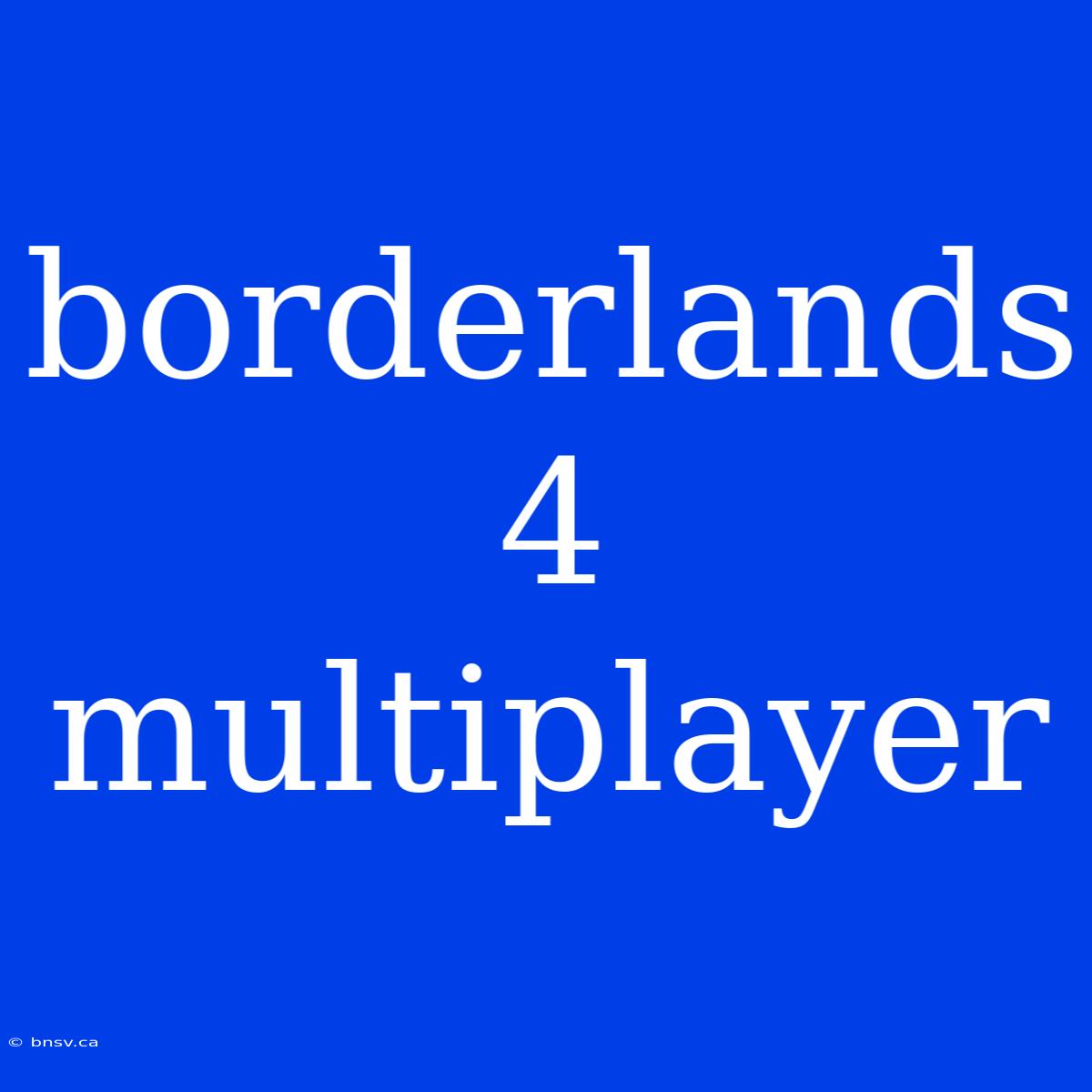 Borderlands 4 Multiplayer