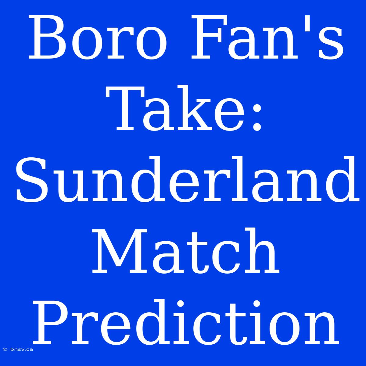 Boro Fan's Take: Sunderland Match Prediction