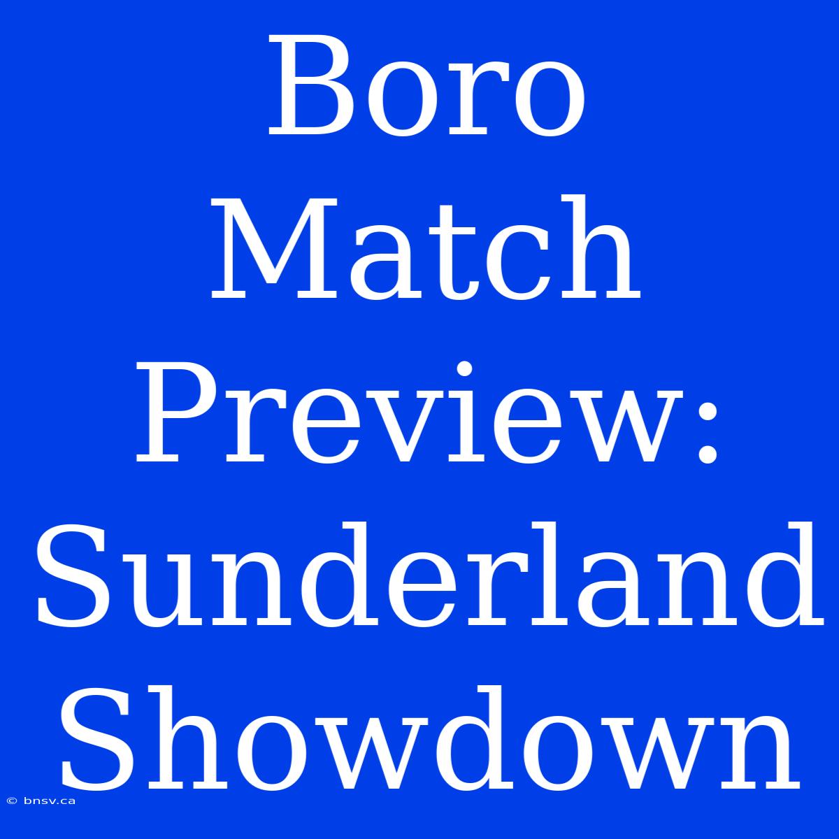 Boro Match Preview: Sunderland Showdown