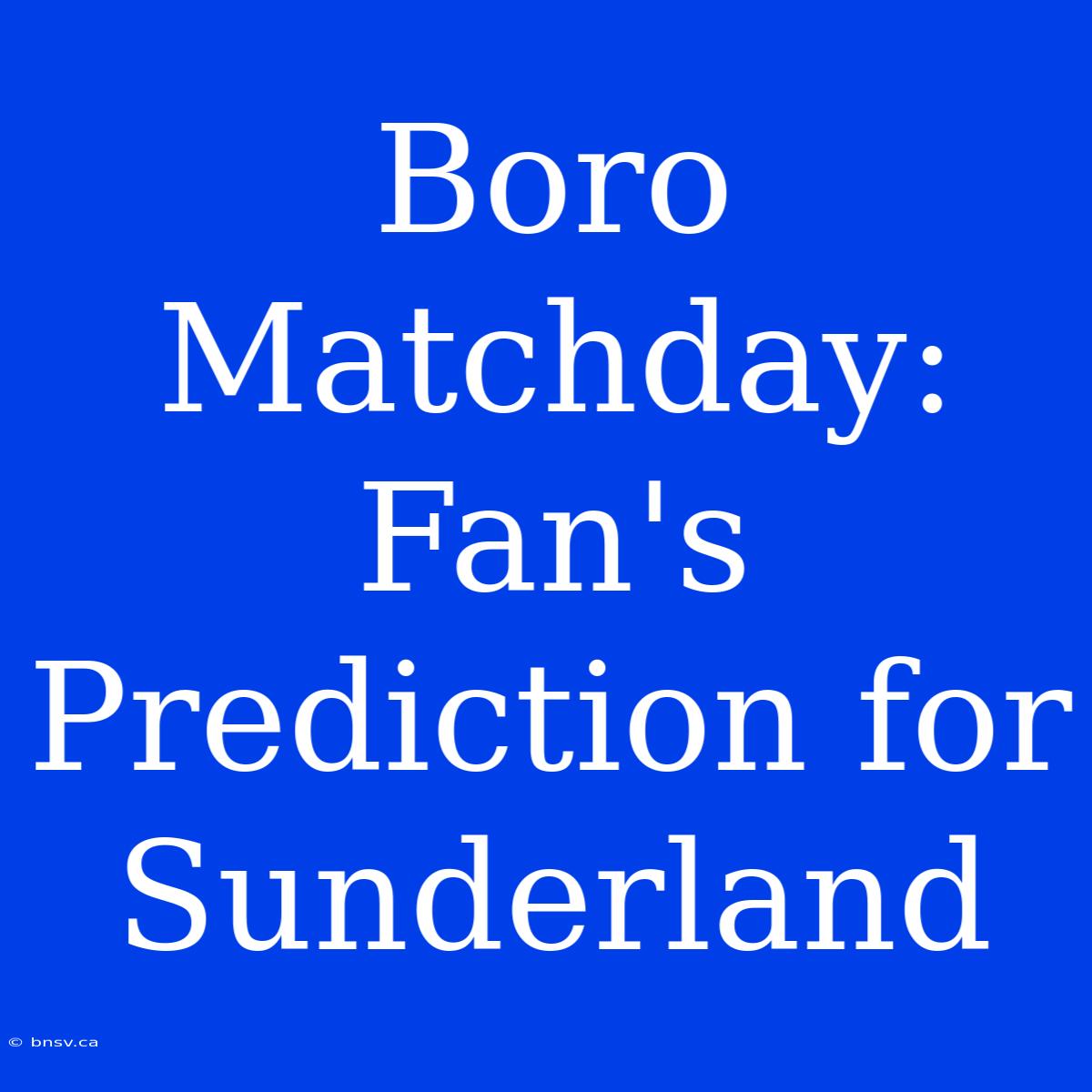 Boro Matchday: Fan's Prediction For Sunderland