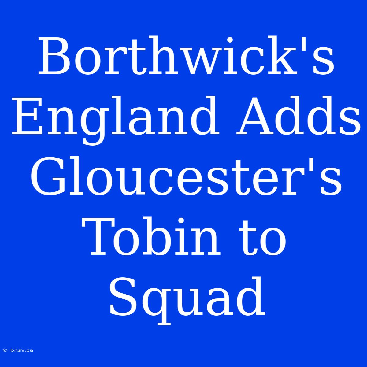 Borthwick's England Adds Gloucester's Tobin To Squad