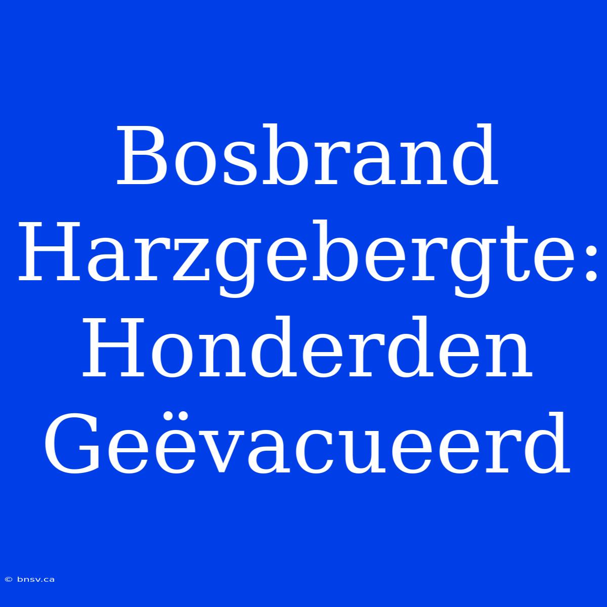 Bosbrand Harzgebergte: Honderden Geëvacueerd