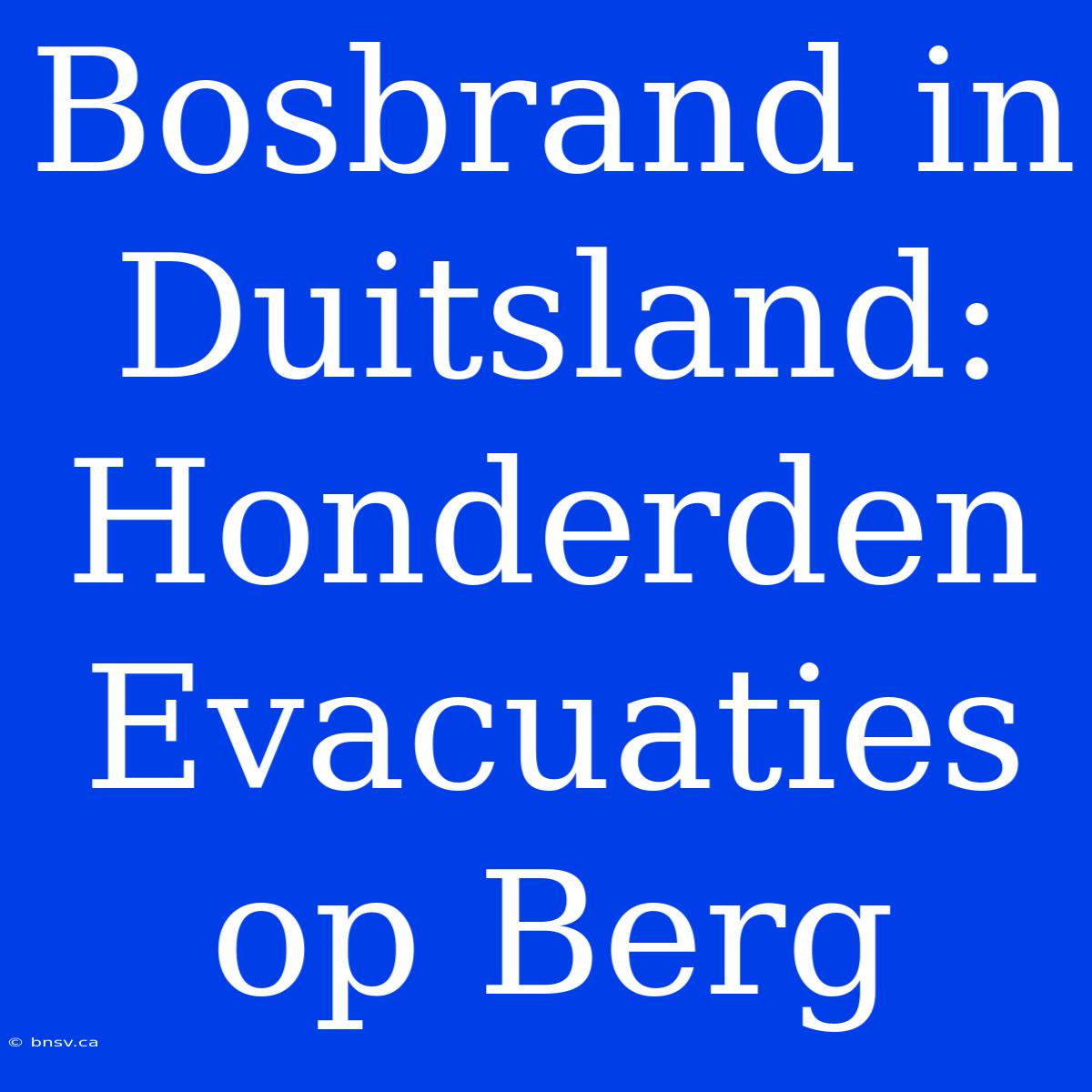 Bosbrand In Duitsland: Honderden Evacuaties Op Berg