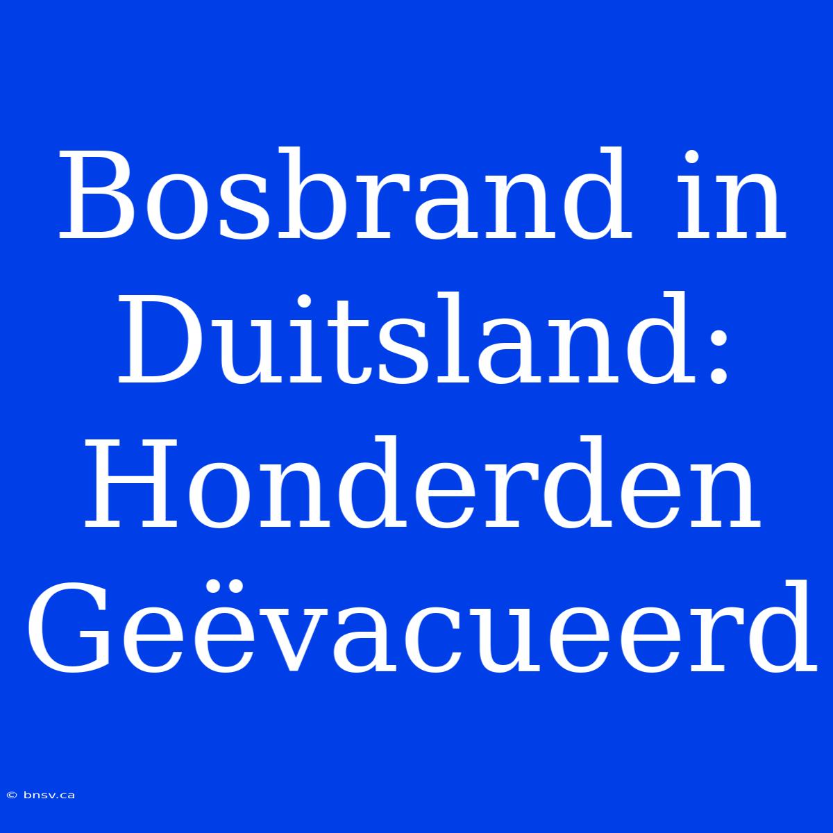 Bosbrand In Duitsland: Honderden Geëvacueerd