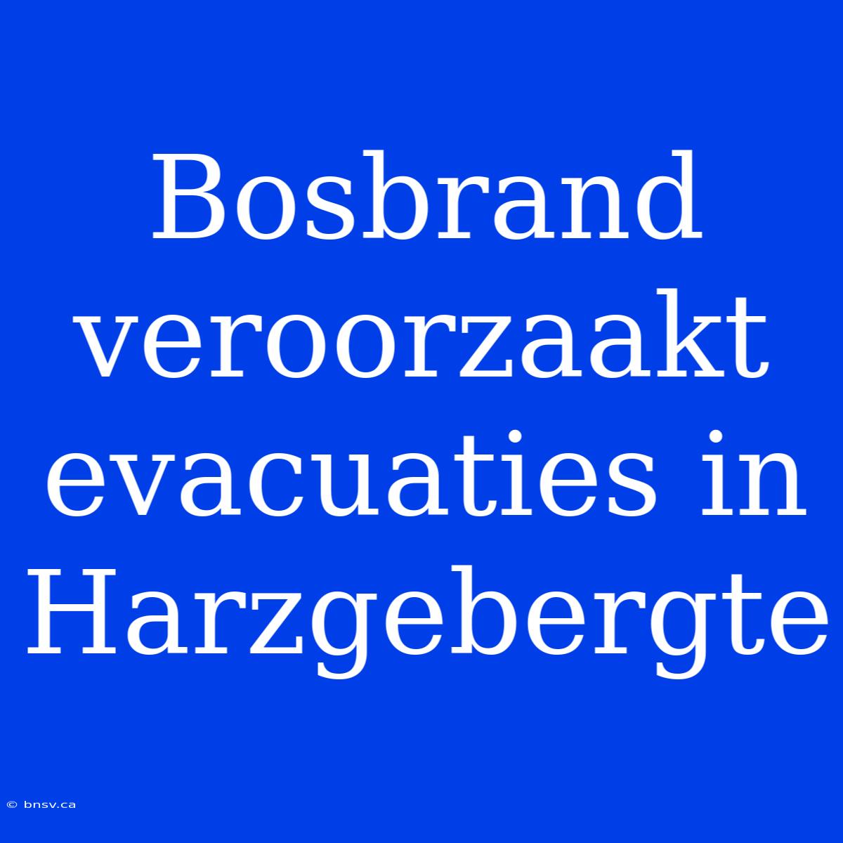 Bosbrand Veroorzaakt Evacuaties In Harzgebergte