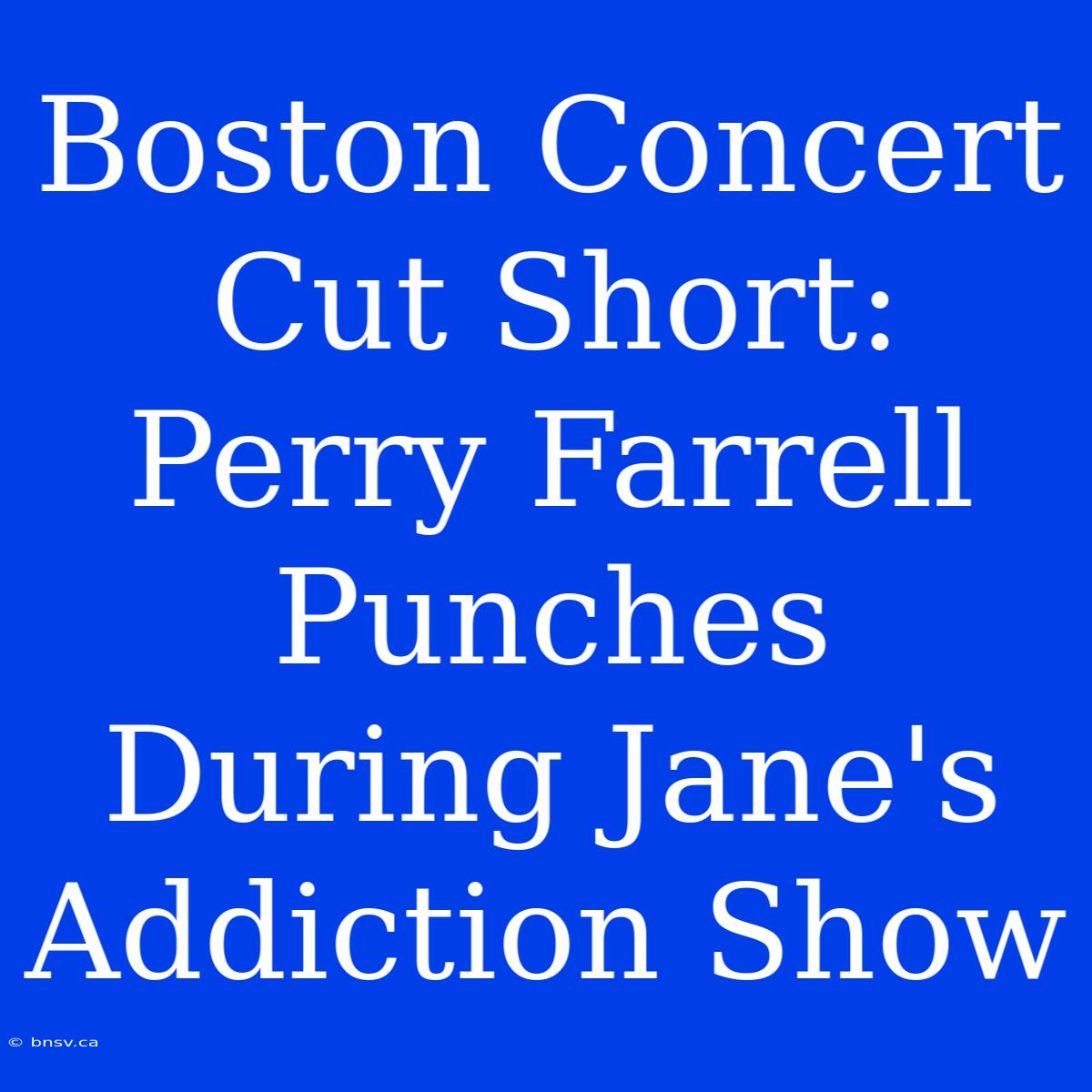 Boston Concert Cut Short: Perry Farrell Punches During Jane's Addiction Show