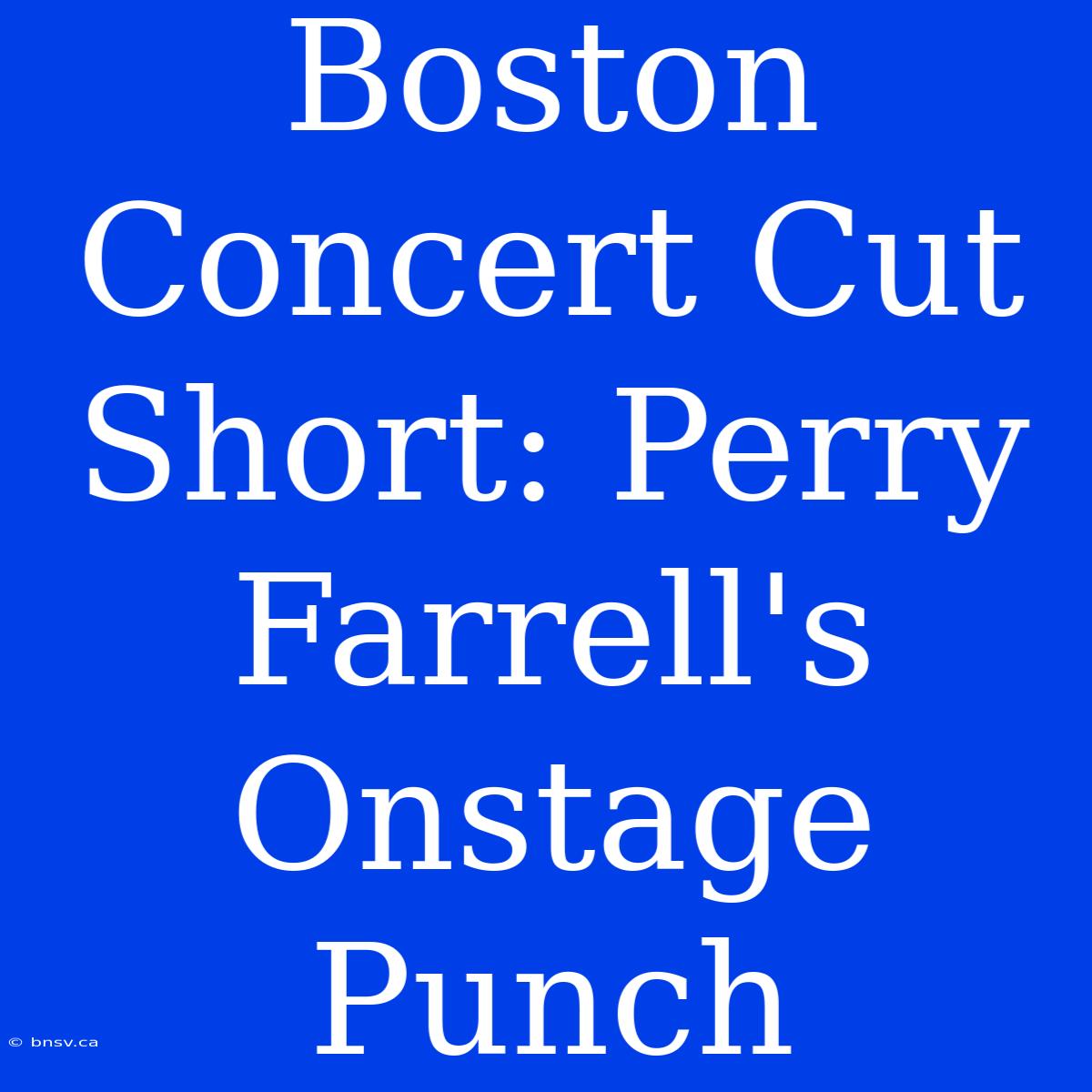 Boston Concert Cut Short: Perry Farrell's Onstage Punch