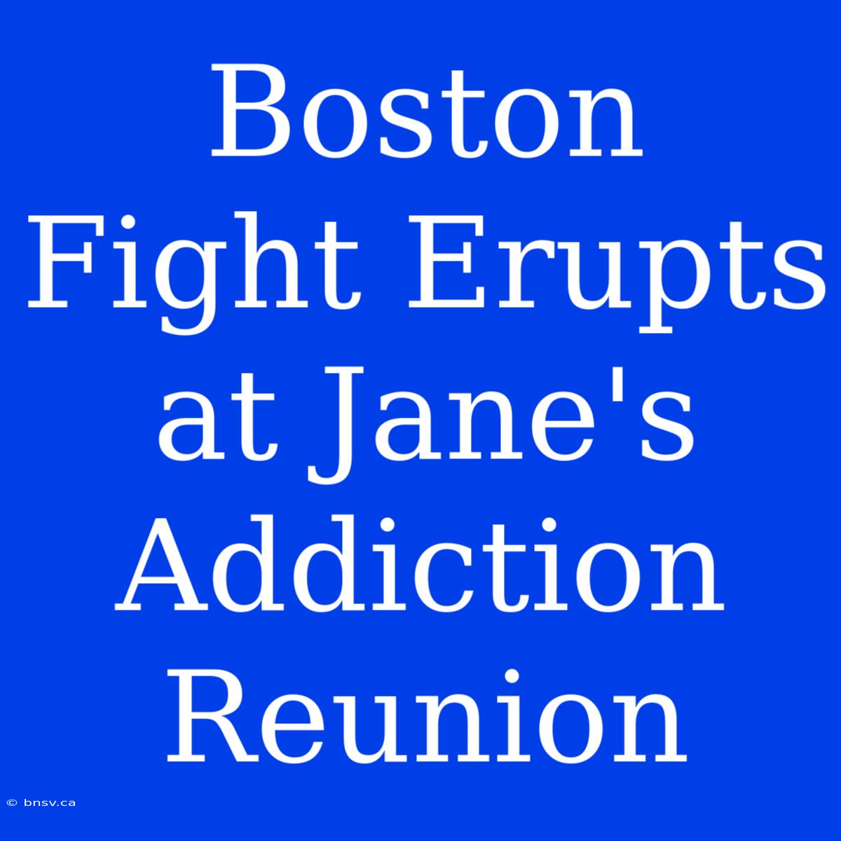 Boston Fight Erupts At Jane's Addiction Reunion