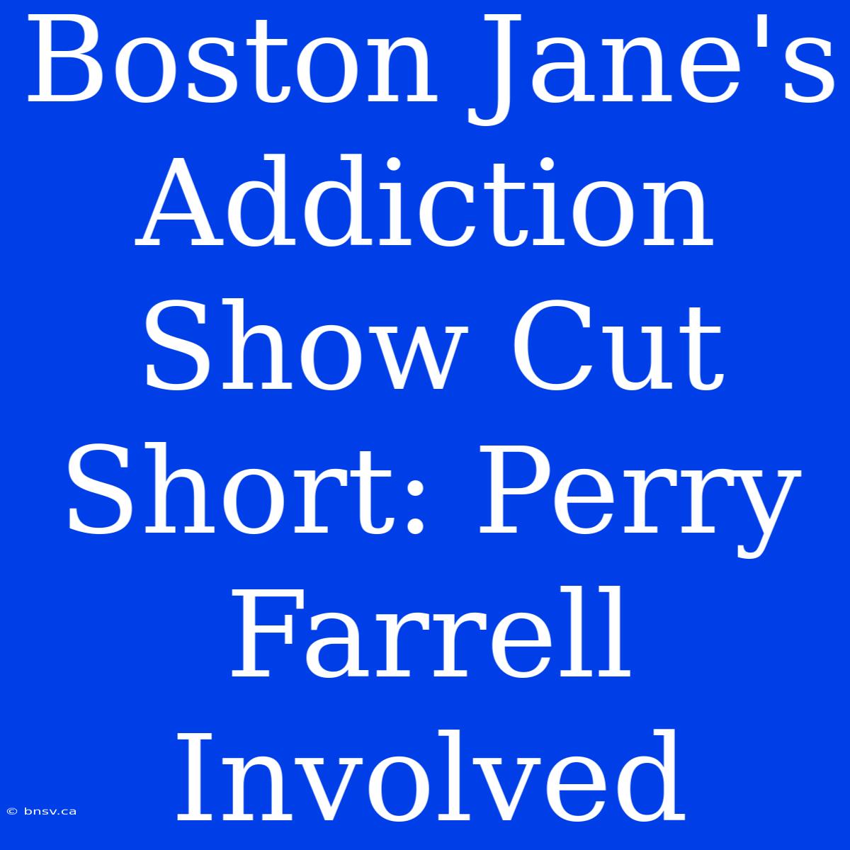 Boston Jane's Addiction Show Cut Short: Perry Farrell Involved