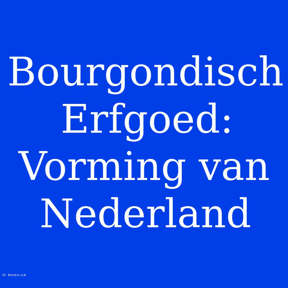 Bourgondisch Erfgoed: Vorming Van Nederland