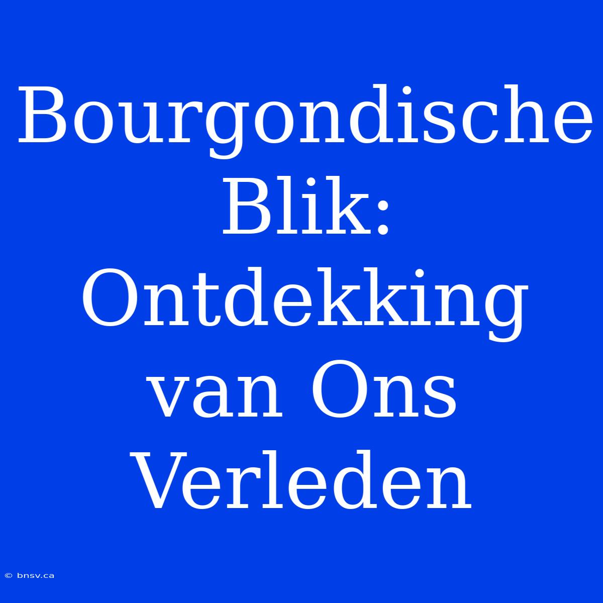 Bourgondische Blik: Ontdekking Van Ons Verleden