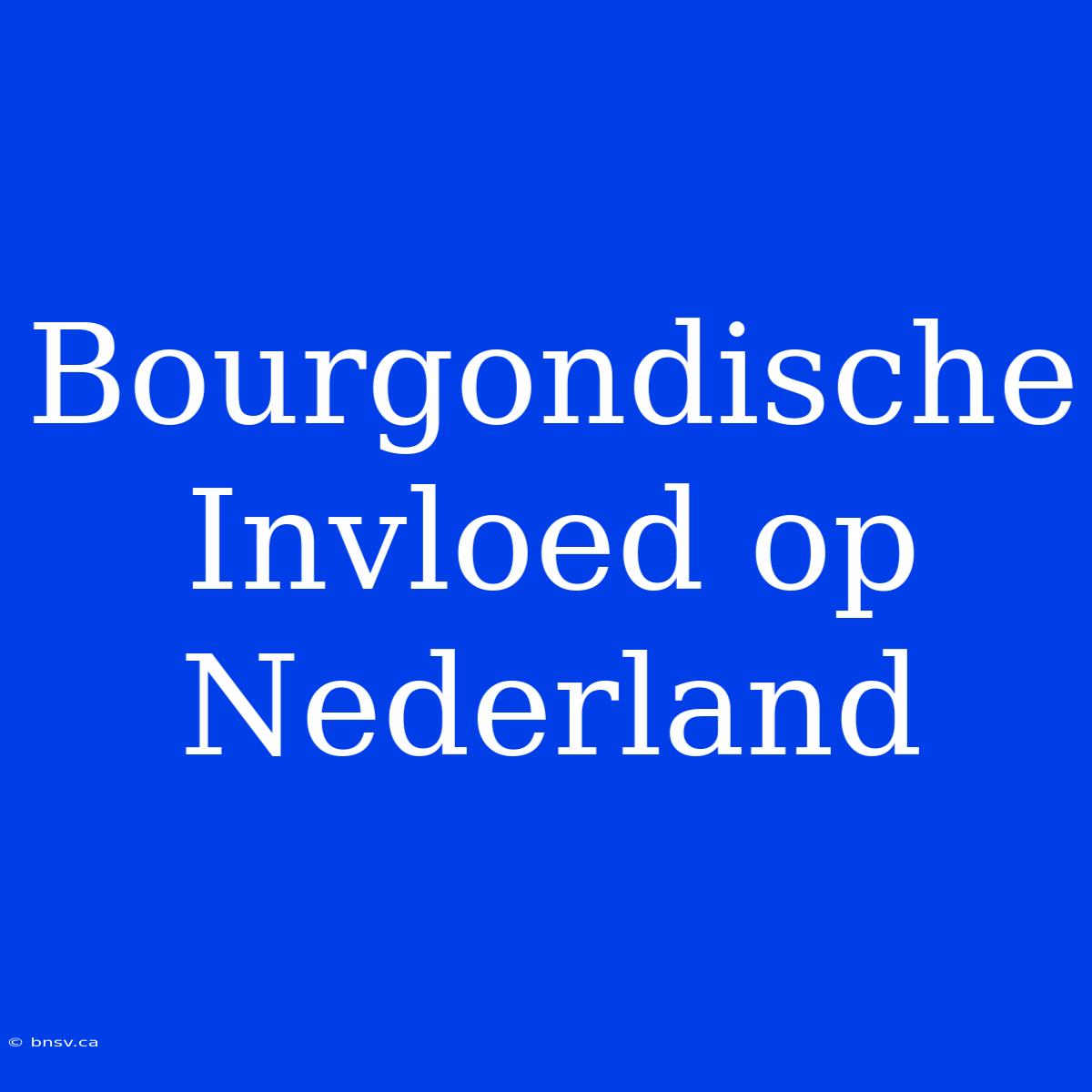 Bourgondische Invloed Op Nederland