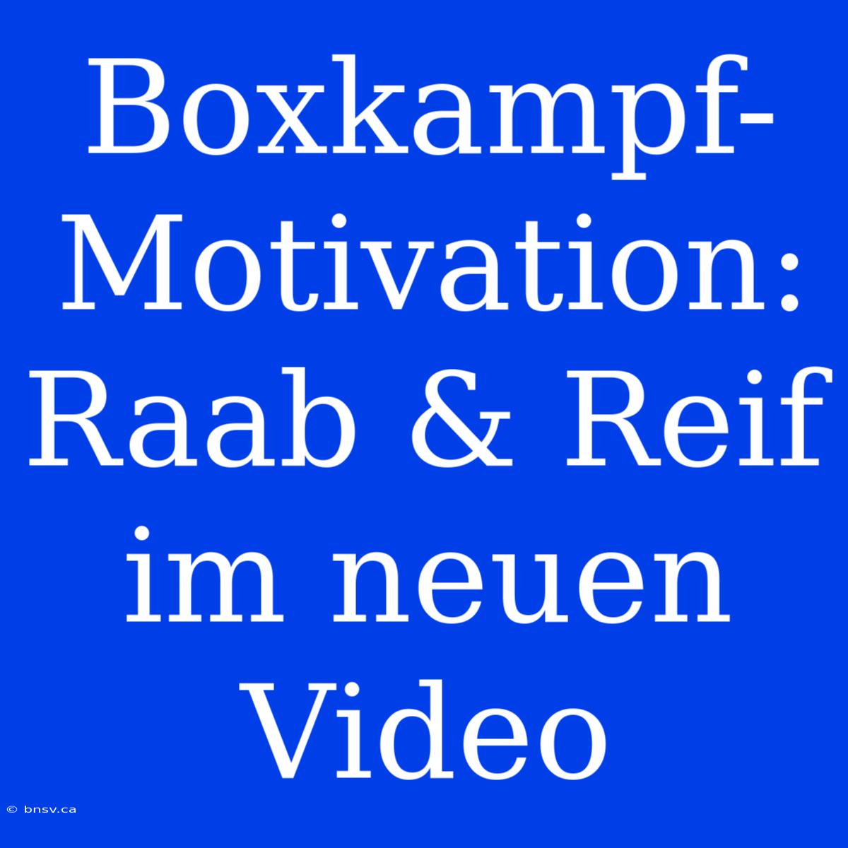 Boxkampf-Motivation: Raab & Reif Im Neuen Video