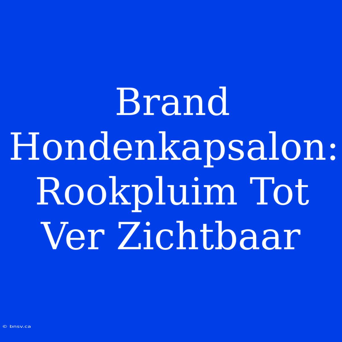 Brand Hondenkapsalon: Rookpluim Tot Ver Zichtbaar