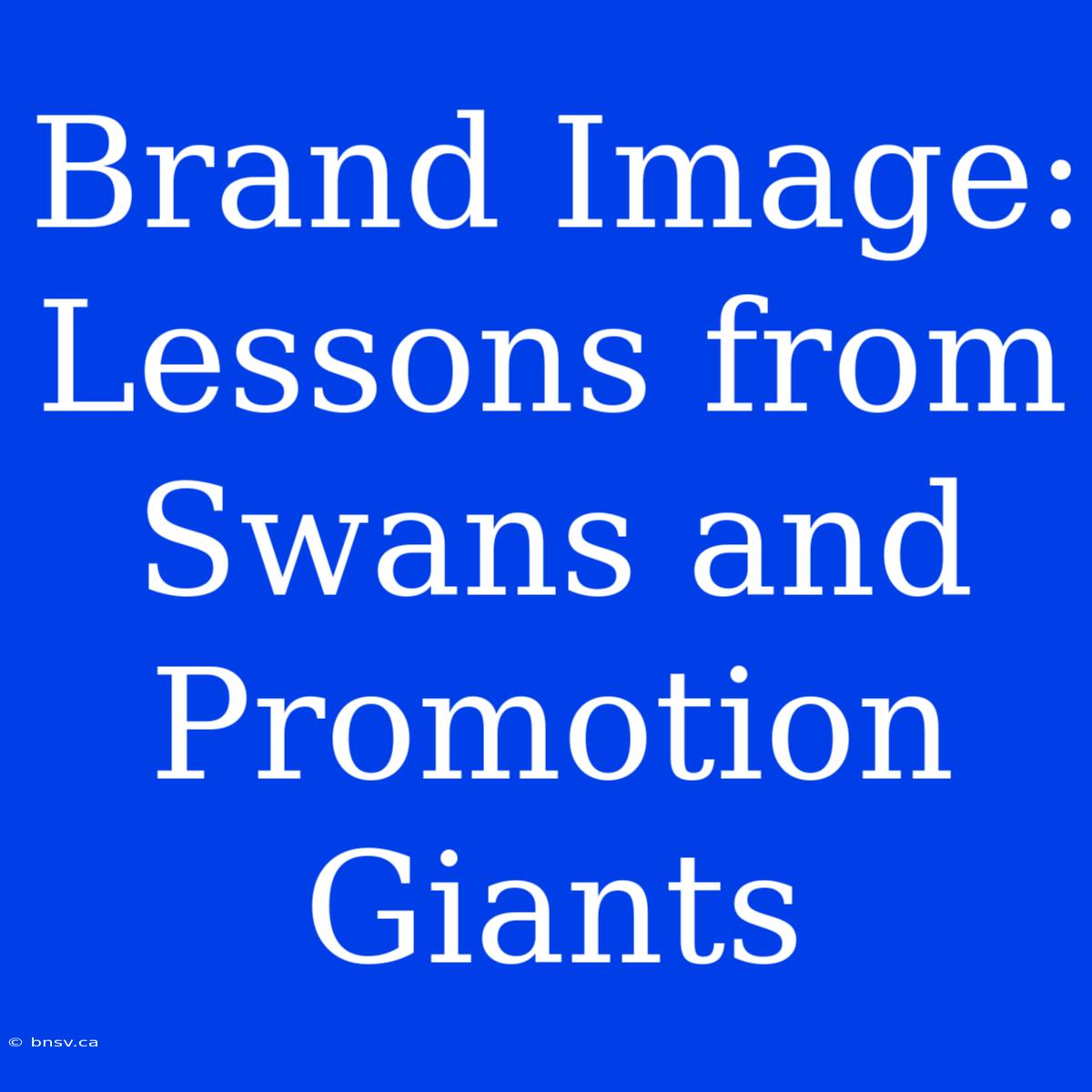 Brand Image: Lessons From Swans And Promotion Giants