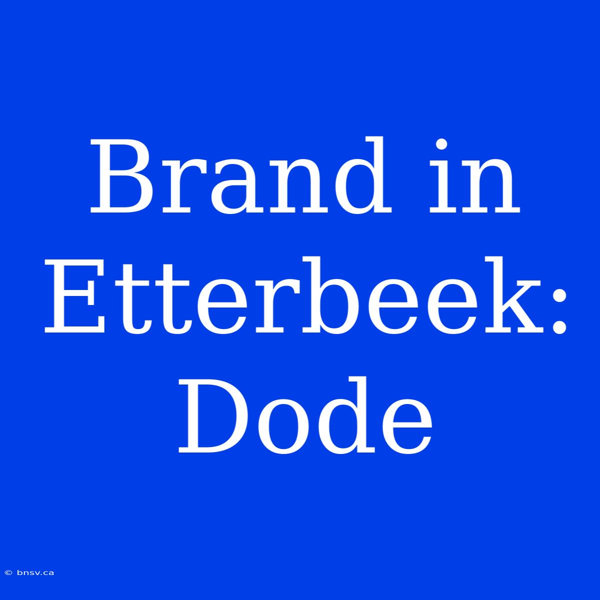 Brand In Etterbeek: Dode