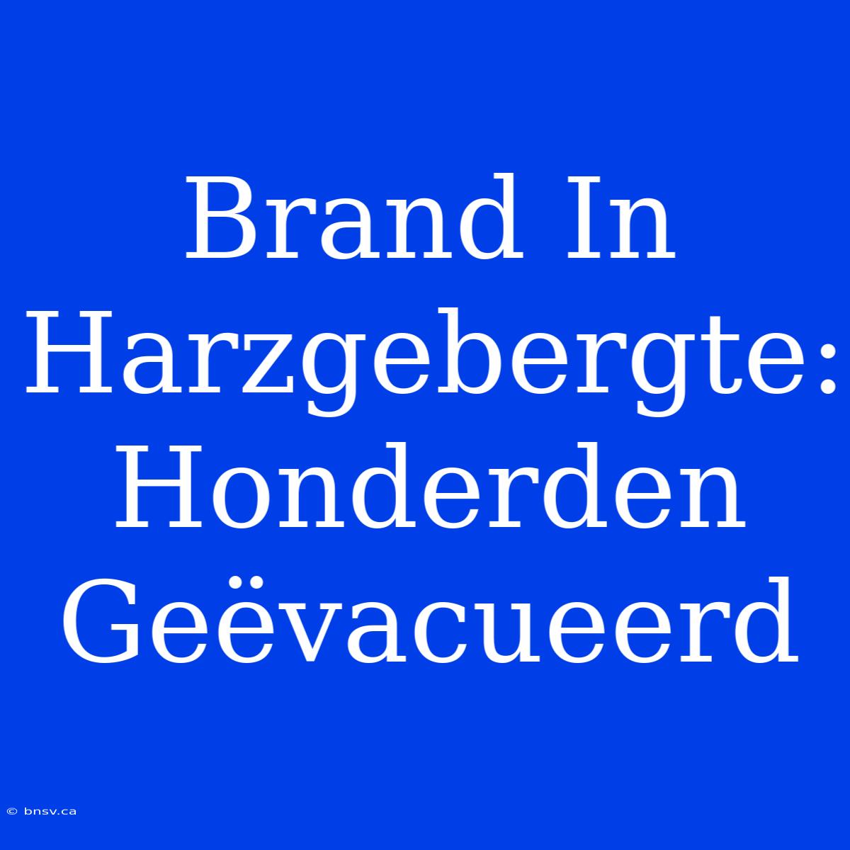 Brand In Harzgebergte: Honderden Geëvacueerd