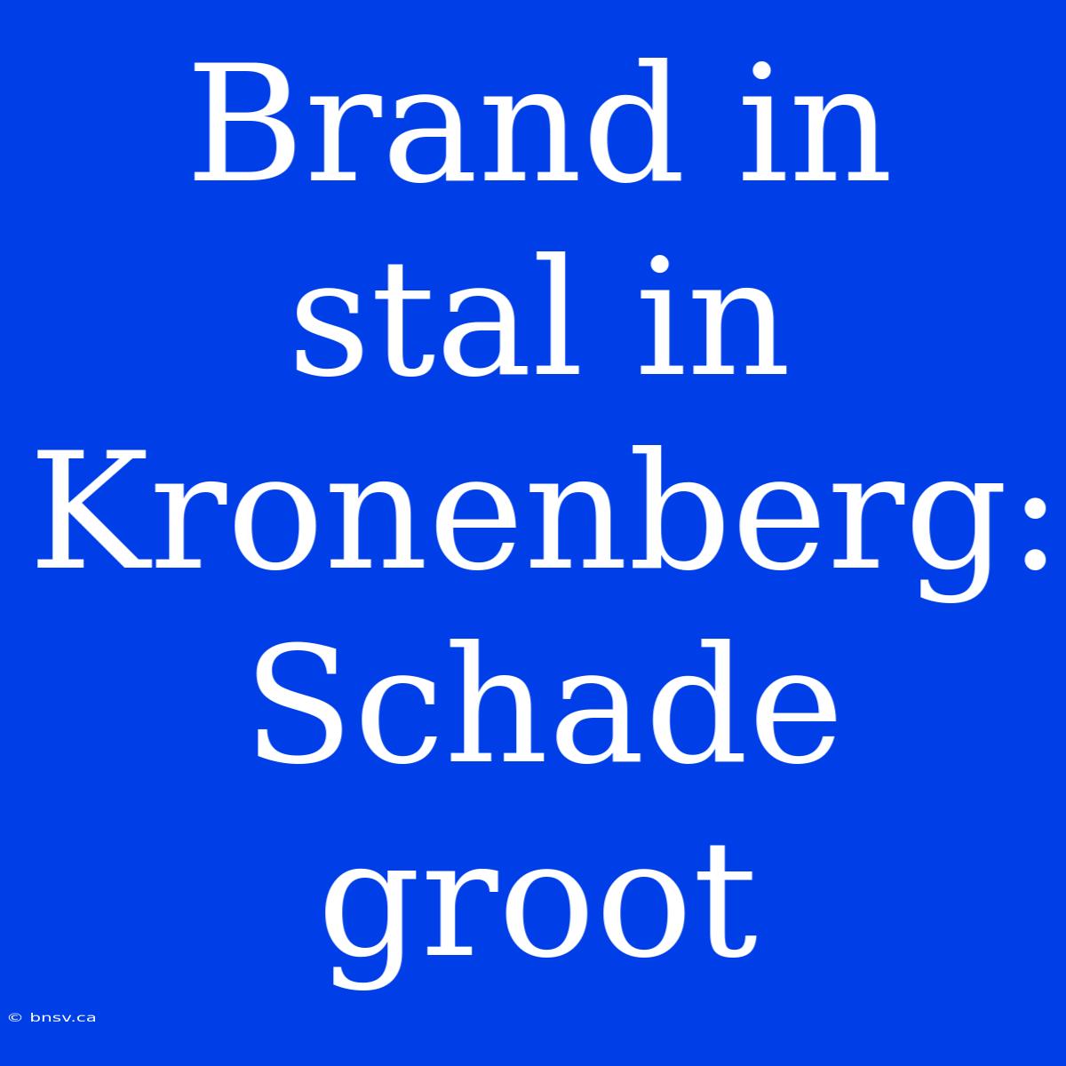 Brand In Stal In Kronenberg: Schade Groot