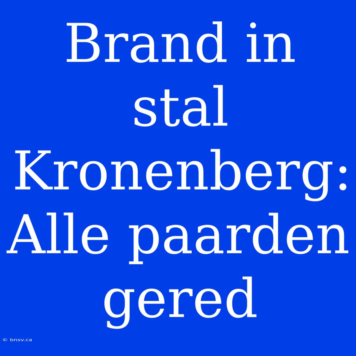 Brand In Stal Kronenberg: Alle Paarden Gered