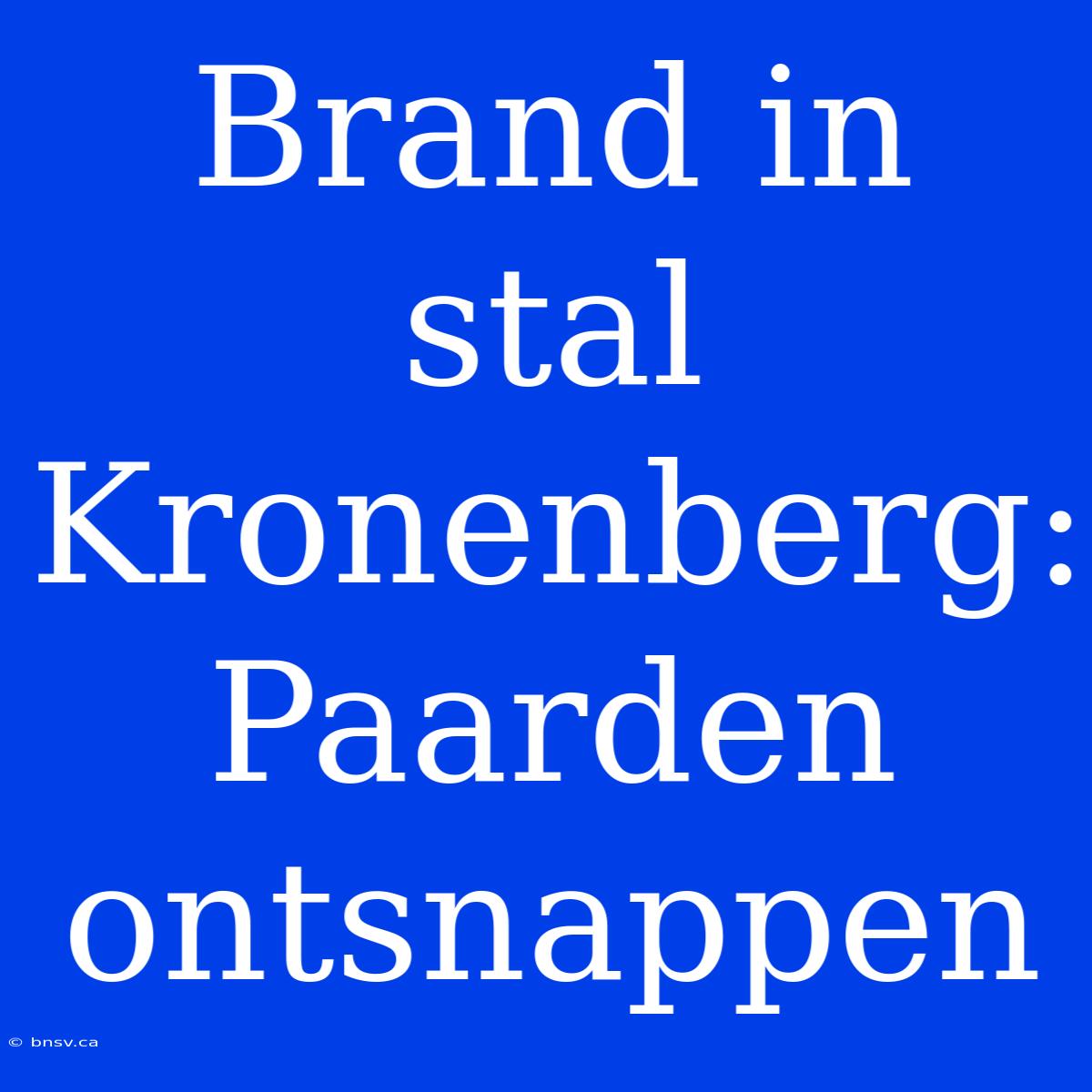 Brand In Stal Kronenberg: Paarden Ontsnappen