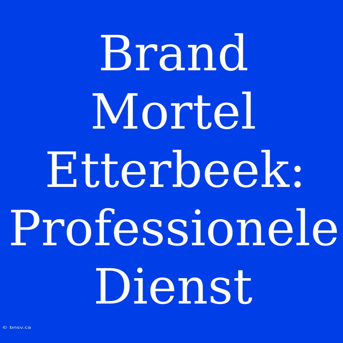 Brand Mortel Etterbeek: Professionele Dienst