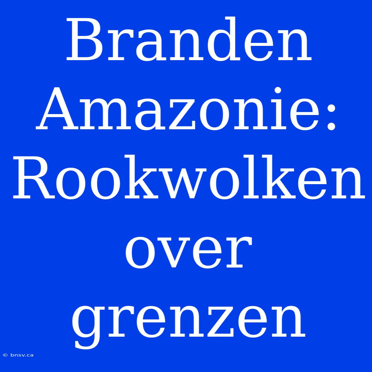 Branden Amazonie: Rookwolken Over Grenzen