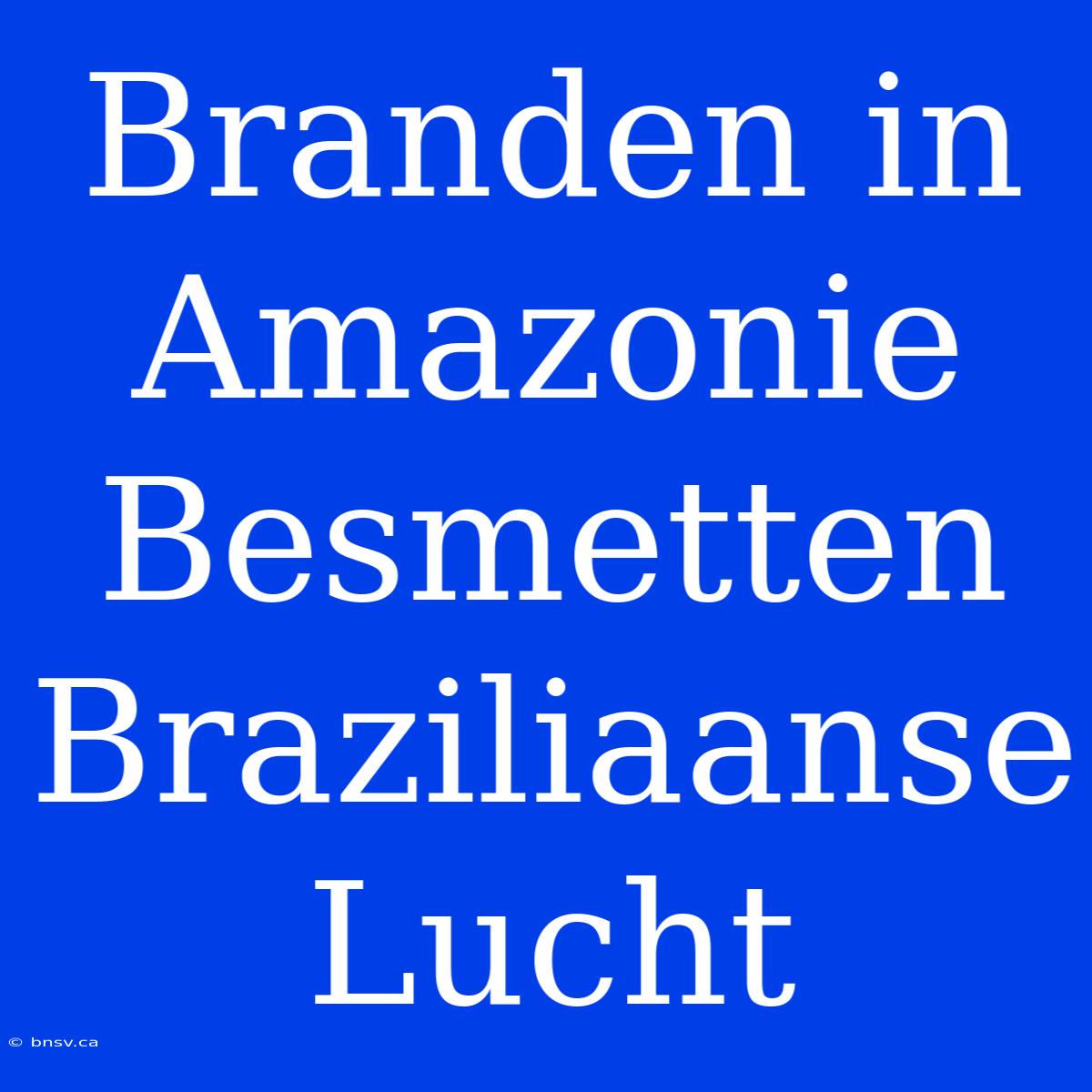 Branden In Amazonie Besmetten Braziliaanse Lucht