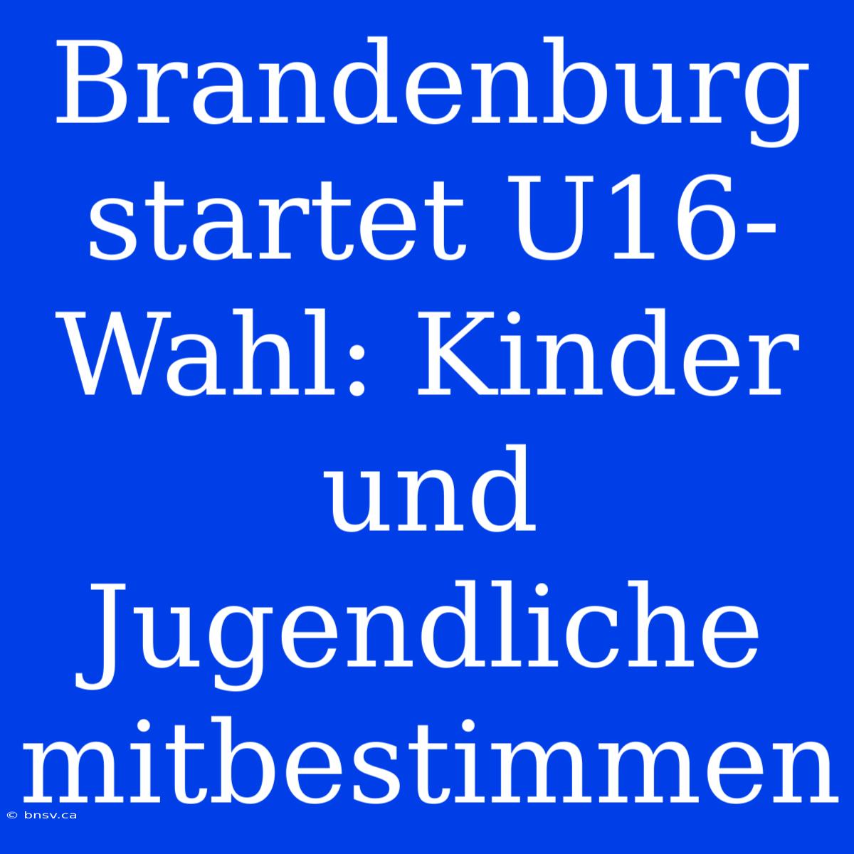 Brandenburg Startet U16-Wahl: Kinder Und Jugendliche Mitbestimmen