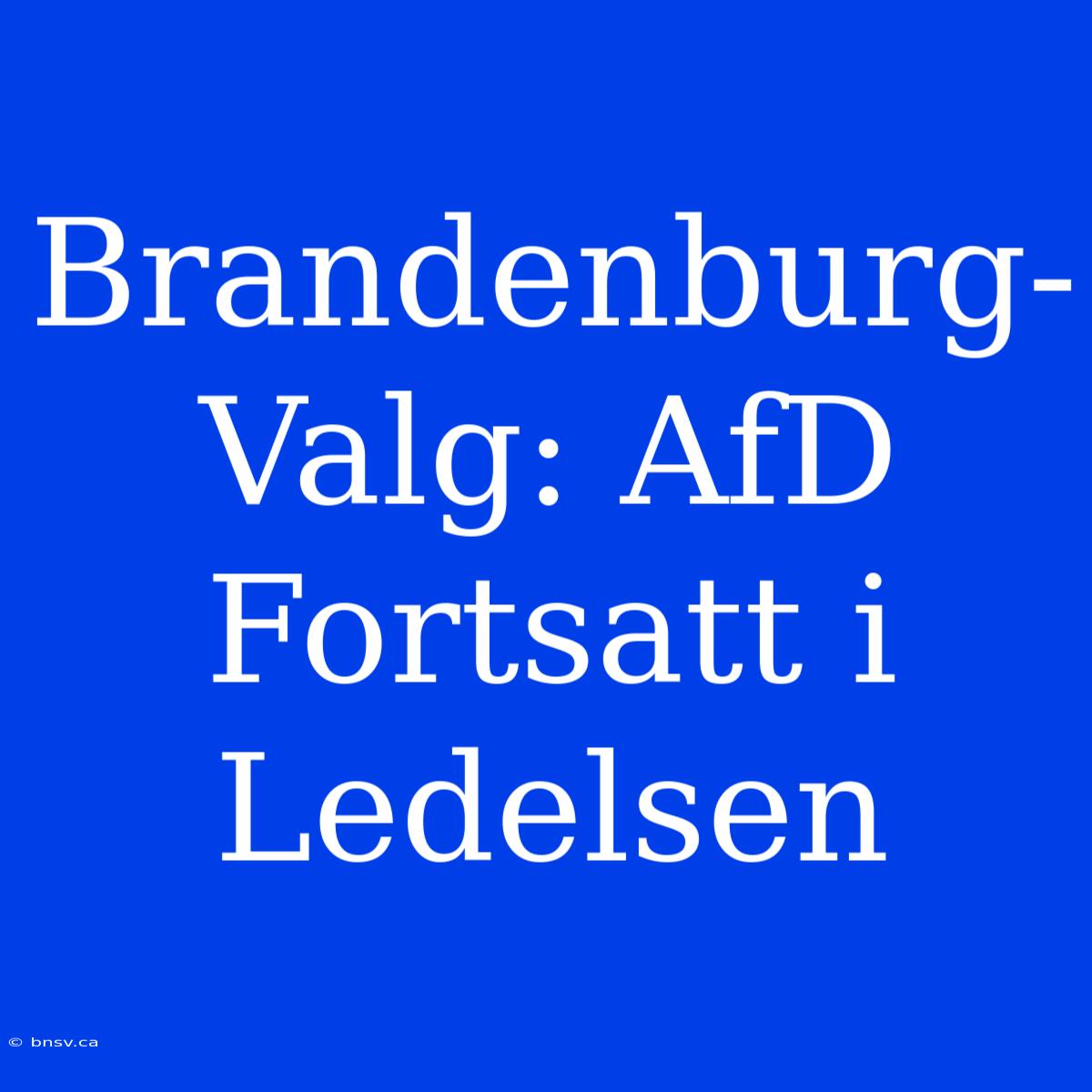 Brandenburg-Valg: AfD Fortsatt I Ledelsen