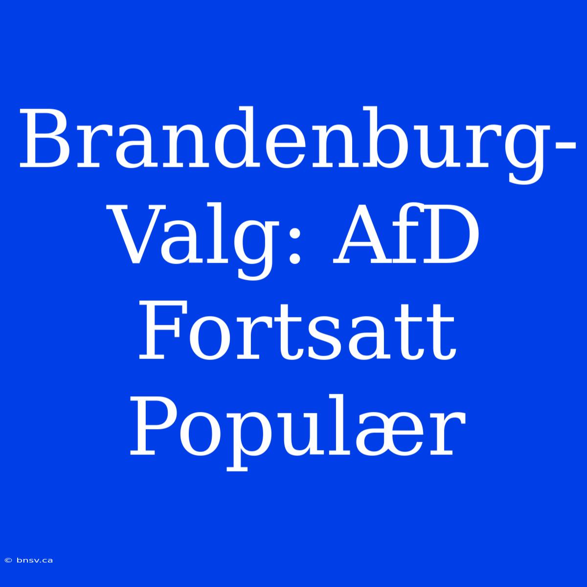 Brandenburg-Valg: AfD Fortsatt Populær