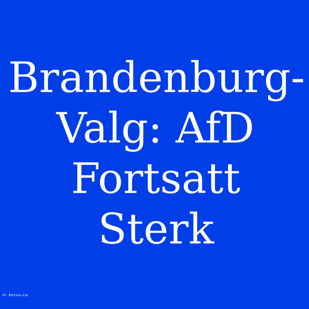 Brandenburg-Valg: AfD Fortsatt Sterk